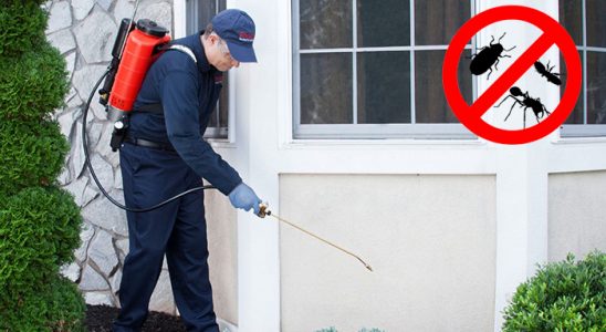 Erdek Akrep İlaçlama böcek ilaçlama ve haşere kontrolü — ilaclama-tr.com